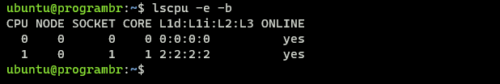 lscpu -e -b command in linux