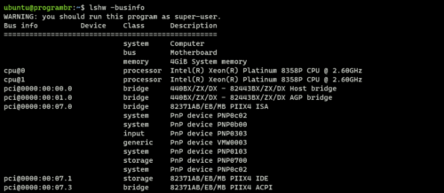 lshw -businfo command in linux