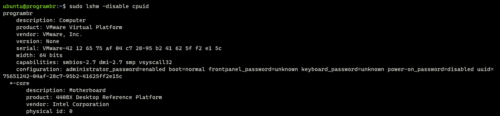 sudo lshw -disable cpuid command in linux