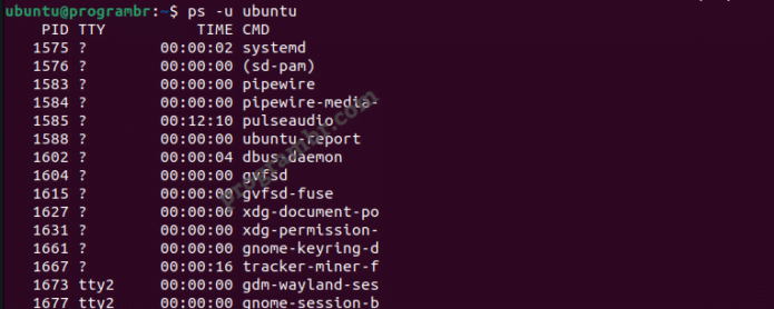 ps -u ubuntu-command-in-linux